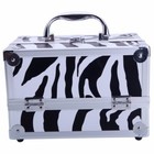 Aluminum Makeup Train Case Jewelry Box Cosmetic Organizer With Mirror 9 x6 x6  W