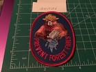 Vtg Smokey The Bear Iron On Patch Prevent Forest Fires Water Bucket