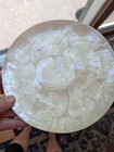 Lot Of 11 Vintage 1960s  Capiz Shell Appetizer Plates 8 