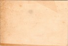 Trade Card - Gold Medal Coffee - Butterfly And Flowers