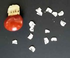India Carved Elephant Bean 1960s Contains Little Elephants