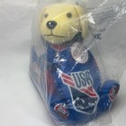 Raising Canes 2026 Limited Edition Plush Puppy Dog Usa Bobsled Skeleton Sealed  
