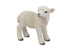 Standing Lamb Life Size Garden Statue Decoration Farm Home Decor In outdoor