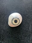 Antique Prosthetic Glass Eye