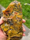 Rare Colorful Brecciated Jasper-agate Rough  dendritic  From Utah 1 38 Lb