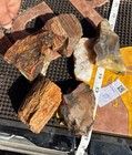       rr        6 Pcs Top Quality Arizona Rainbow Petrified Wood 2 5 Lb     