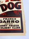 1933 The Wolf Dog Original Rolled 27x41    Movie Poster Rin Tin Tin Frankie Darro