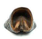 Real Antique Chinese Horse Hoof With Hand Carved Design