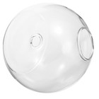 Glass Vase Hydroponic Planter Propagation Wall-mounted Hydroponics