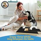 Pet Armor Grinding Dog Scratching Board-dark Blue