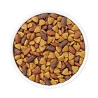 Purina Dog Chow With Real Chicken Adult Complete   Balanced Dry Dog Food