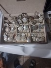 Sterling Silver 925 Western Belt Buckle   Bolo Tie Lot W  Turquoise  24pc