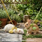 2pcs Ferret Harness And Leash  Adjustable Guinea Pig Harness  Bunny Leash