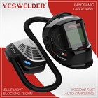 Powered Air Purifying Respirator Auto Darkening Welding Helmet Q800d