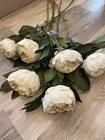 Bulk Flower Stems  Silk Peony Wedding Party Events Home Decor Florist Supplies