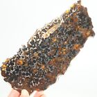350g Natural Sericho Pallasite Olive Meteorite Slice - From Kenya F608
