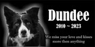 Cat Pet Stone Memorial Grave Marker Plaque Human Headstone Dog Boston Terrier