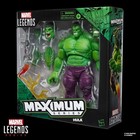 Marvel Legends Maximum Series Hulk  Deluxe Hulk Comics Collectible 6-inch    