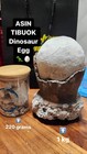 Rare   Genuine Asin Tibuok Dino Egg Artisanal Coconut Sea Salt Bohol Philippines
