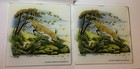 Vintage Whitetail Deer Glass Pair 6x6 Wildlife Cabin Hunting Lodge Decor