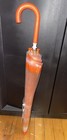 Children s Umbrella - Clear Transparent   Orange Dinosaurs - Opens To 31 5   