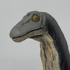 Safari Ltd Apatosaurus Figure Gray Prehistoric Long Neck Dinosaur Figurine 2010
