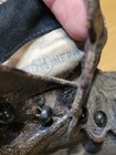 Antique Victorian Merit Mauer  Custom Leather Button Shoes Child Size  read