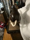 Vintage Breyer Molly  Balking Mule Black And White Traditional Model Horse