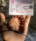Lab Certified Natural Rudraksha Rudraksh Bracelet Adjustable 6 Mukhi 6 Face