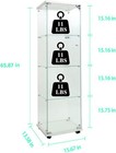 Glass Display Cabinet 65  H 4-shelf Led Lights Strip Curio Cabine Bookshelf Case