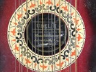 Rare 1920s Ukelin 32 String Lap Instrument