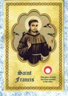 Saint Francis With Relic And Prayer - Relic Paperstock Holy Card