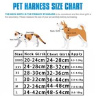 Dog Harness Leash Set For Small Dogs Adjustable Puppy Cat Harness Vest French