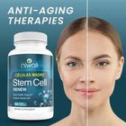 Niwali Stem Cell Renew 60 Veggie Capsules   Brain   Cellular Health Support New