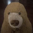 Elegante By Dakin 1984 Bear Plush Brown Stuffed Animal Large Vintage Made In Usa