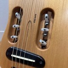 Traveler Guitar Escape Travel Guitar
