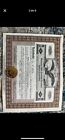 Shares Stock Certificates