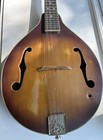 Washburn Mandolin M-1sts 8 String Sunburst Read George Washburn Rare 
