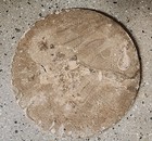 Middle Eastern Fine Persiann Tile 11 In  C  1920