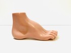 Life Size Anatomical High Arched Foot Medical Model