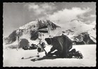 Hindukusch Mountain Expedition 1969 Association Of The O a v  Noshaq Signed