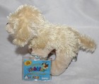 Ganz Webkinz Lil Kinz Golden Retriever Dog Hs010 Nwt Sealed Unused Code 