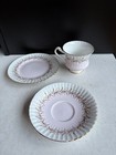 Vintage Paragon Fine Bone China Trio - Pink Gold Fern Pattern - Cup Saucer Plate