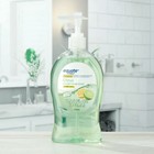 Equate Citrus Antibacterial Liquid Hand Soap  All Purpose  11 25 Fl Oz