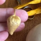 Antique Gold Silk Ribbon   Celluloid Rings Sewing Chatelaine Emery Scissors Pins