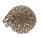 2pk 1 4 x20  Transport Binder Chain Grade 70 W  Grab Hook 3150 Lbs Wll Tow Chain