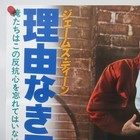 Rebel Without A Cause 1978  Reissue Movie Poster Japanese B2 James Dean