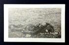 Rppc Postcard Ww1 Dead Hun German Meuse-argonne Offensive France Graphic Rare Pb