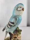10 5  Ligh Blue  Love Bird Parakeet On Tree Branch Tree Flower Porcelain Figure 