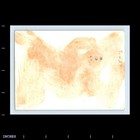 Old Vintage Photo Man Smoking Tobacco Pipe Outside House